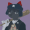Apoloo-cat