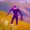 shadows-revege