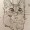 MajoRaccoon