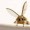 WhiteMothPaw