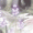 aesthetic8372
