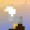 Sunfox