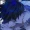 BluxyXX