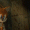 ClassicTails