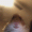 Dubfreddubs