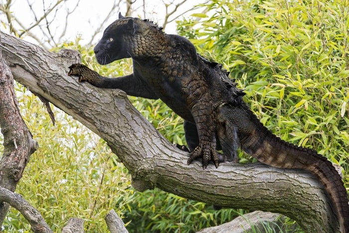 pixilart-i-m-posting-genetic-hybrids-uploaded-by-timmbo69obrian