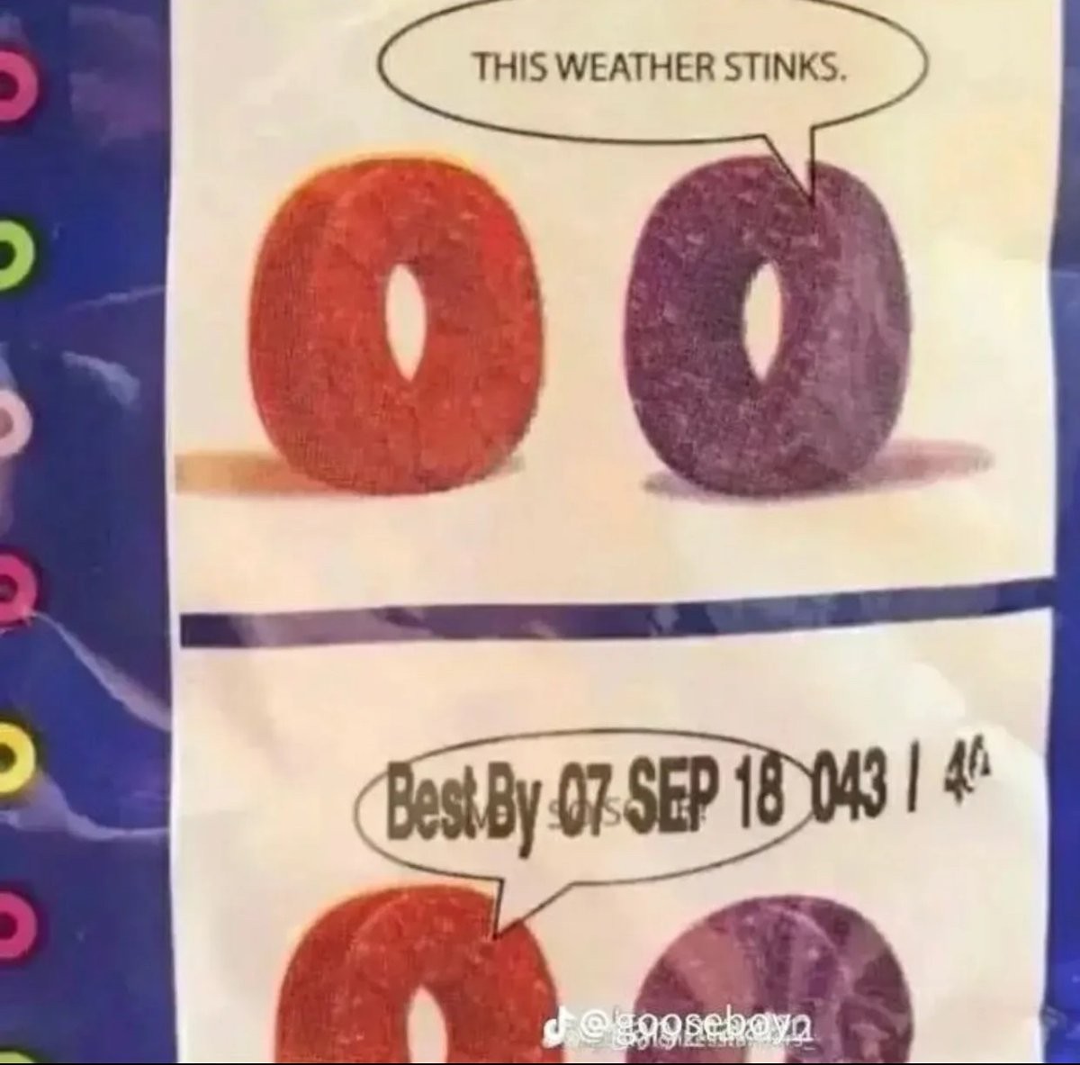 47b8ba37ac7be04.jpg