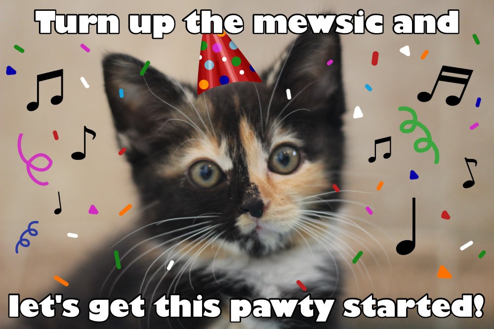Happy Birthday Stripper Meme