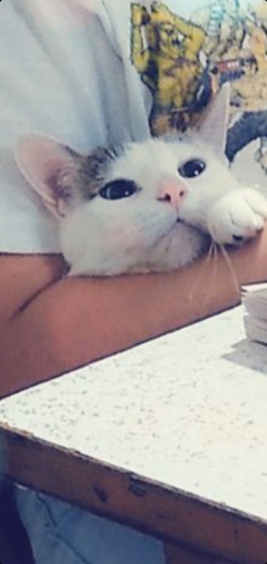 Meet Daisy