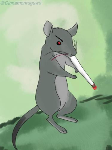cigarettes electronic Are Electronic Cigarettes a Gateway to Tobacco Use?